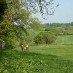 Above Conghurst Farm