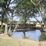 Watering hole by the Cuckmere
